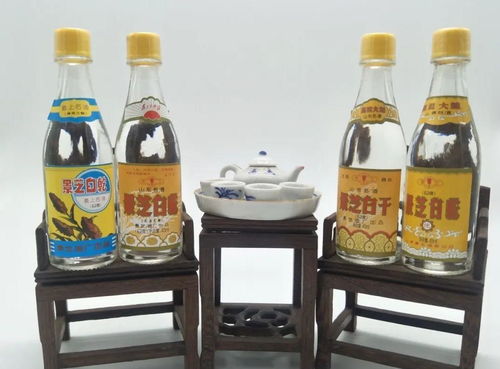 為何半斤白酒尚清醒，兩瓶啤酒卻已醉？——酒精飲料與醉酒的秘密